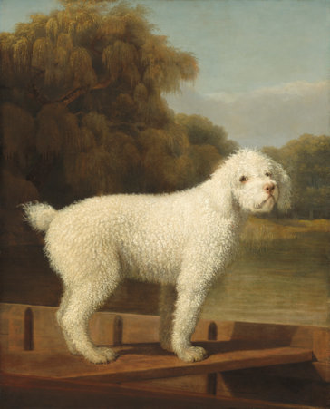 George Stubbs, White Poodle in a Punt, 1780, NGA, Washington