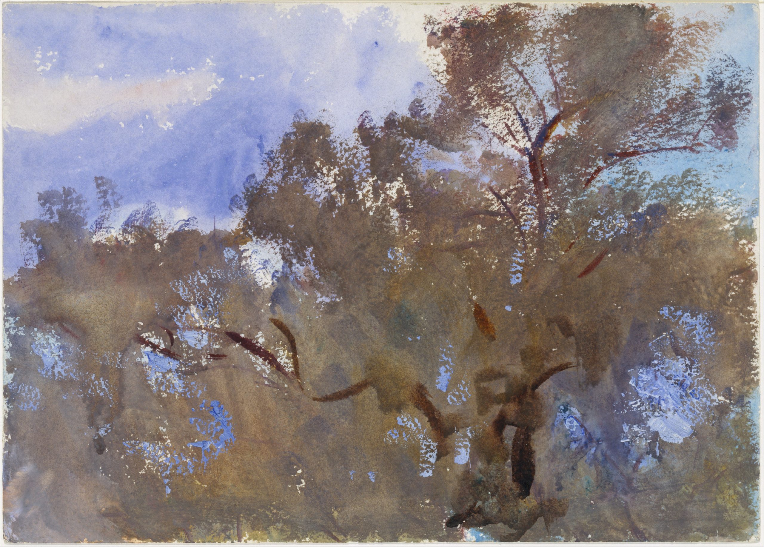 John Singer Sargent, Treetops against Sky, 1909-1913, Met Museum, NY
